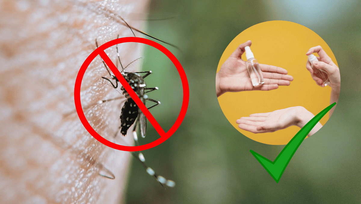 3 métodos que NO funcionan para alejar a los mosquitos de casa ¿Cuáles son efectivos?