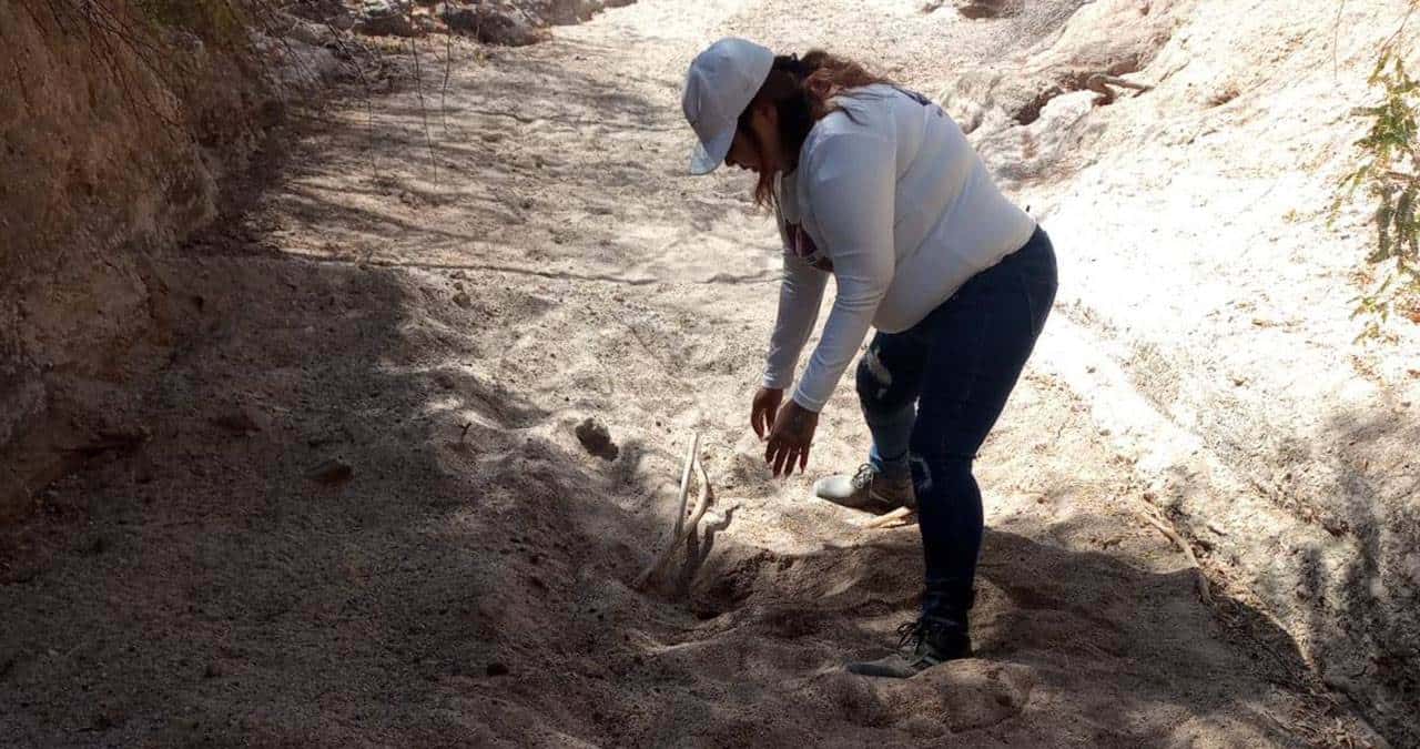 Madres Buscadoras aseguran que la Comisión de Búsqueda de Personas las sigue apoyando