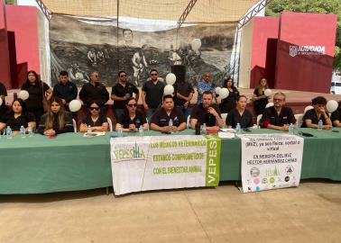 Veterinarios de Navojoa se suman a paro nacional y piden frenar la violencia al gremio