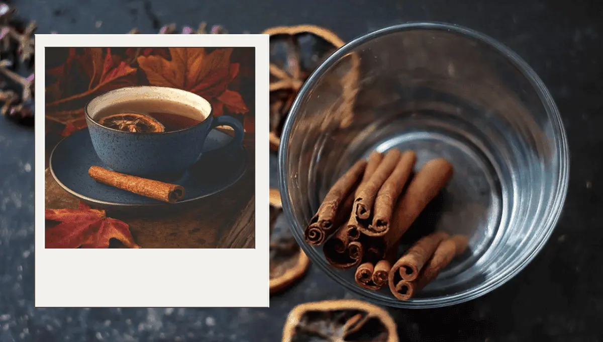 Fuente: Pexels/Ylanite Koppens/santarina81
