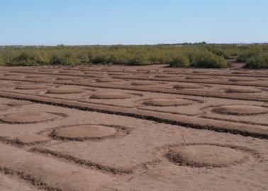 ¿Presencia de extraterrestres? Encuentran extrañas figuras en Bahía de Lobos