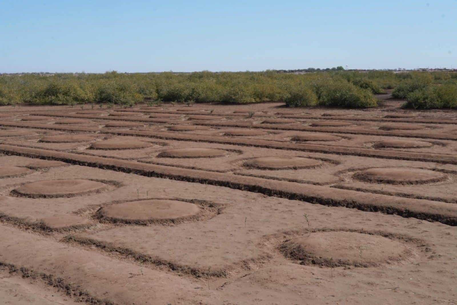 ¿Presencia de extraterrestres? Encuentran extrañas figuras en Bahía de Lobos