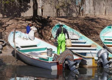 Por los suelos está la pesca en Bahía de Lobos