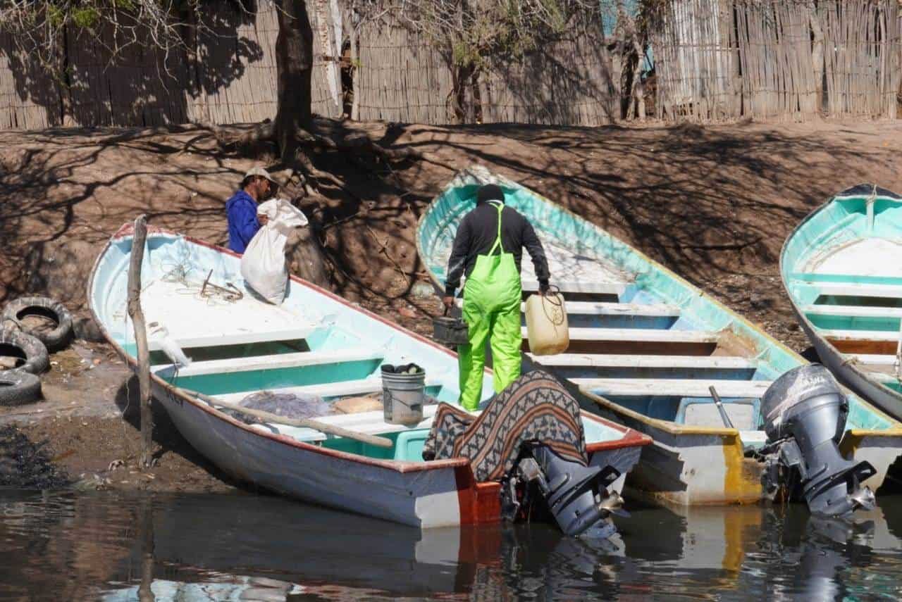 Por los suelos está la pesca en Bahía de Lobos