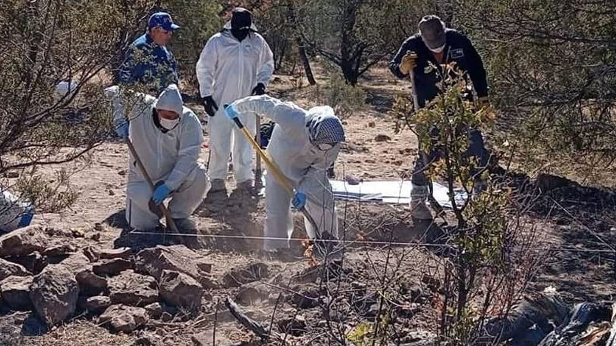 ¡Brutal! Fosas clandestinas de Chihuahua arrojan 81 cadáveres