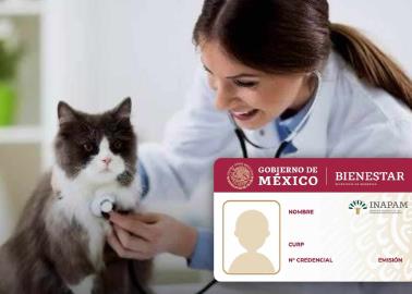 Inapam: ¿Cuáles son los veterinarios que dan descuento en todo México?