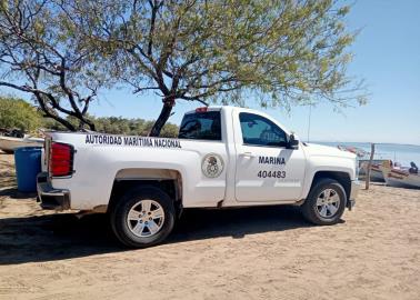 Otro avistamiento de tiburón en el Sur de Sonora