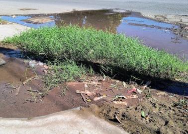 Vecinos de Villa Fontana de Cajeme piden que se atiendan problemas de desperdicio de agua