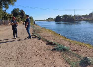 En Cajeme, investigan muerte de tortugas en el Campo 2