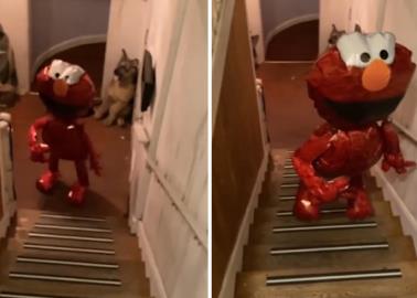 VIDEO PARANORMAL | Mujer graba cómo un globo del "Elmo" sube las escaleras y apaga la luz