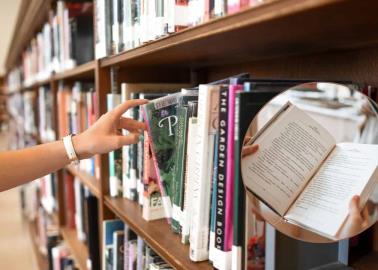 ¿Quieres empezar a leer? Estos escritores te engancharán desde la primera página