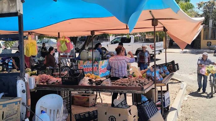 Tiangueros de Cajeme esperan un incremento de ventas con época de cosecha