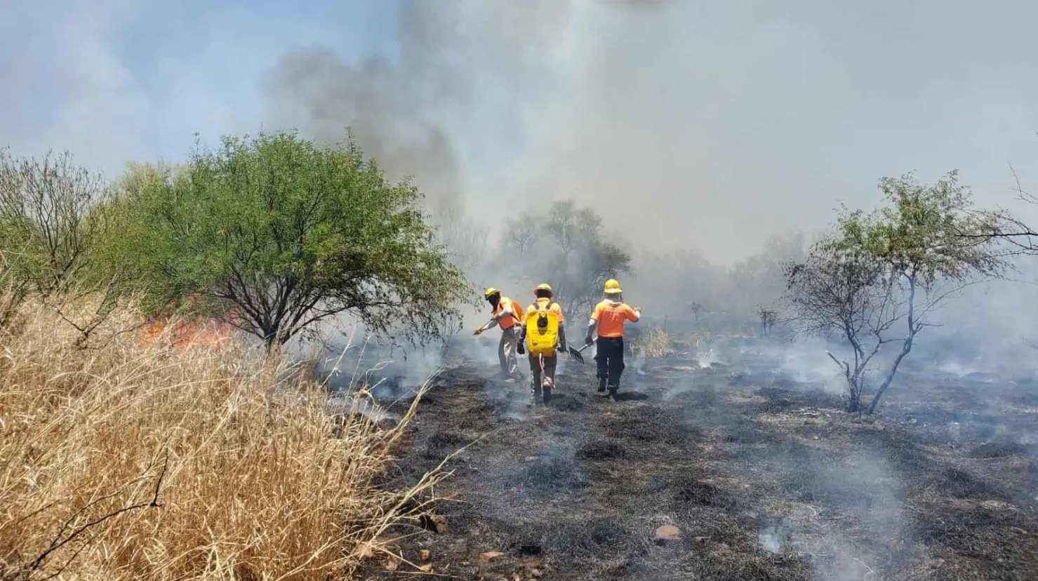 El 90 por ciento de los incendios son generados por actividad humana