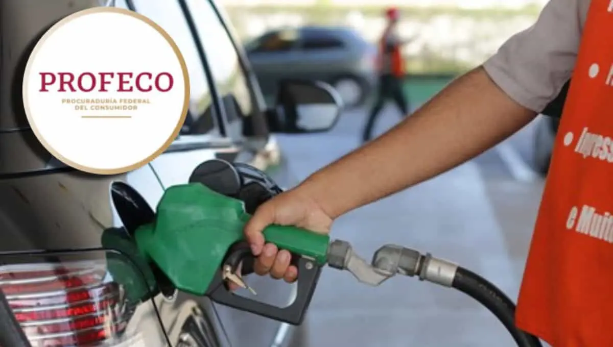 Profeco revela el método para cargar gasolina de forma inteligente. Foto: Original