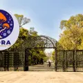 ¡El Festival del Bosque de Chapultepec se acerca! Te damos fechas del evento en la CDMX