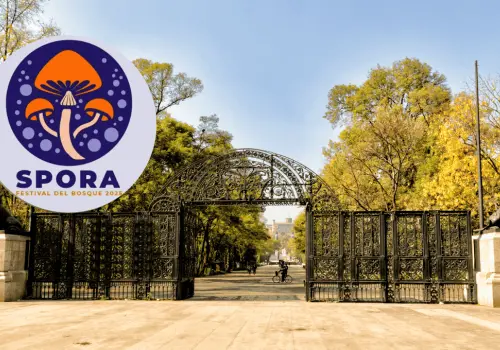 ¡El Festival del Bosque de Chapultepec se acerca! Te damos fechas del evento en la CDMX