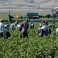 Presentan estrategias para enfrentar el problema hídrico en agricultura sonorense