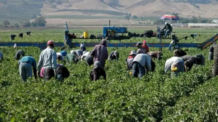Presentan estrategias para enfrentar el problema hídrico en agricultura sonorense Presentan estrategias para enfrentar el problema hídrico en agricultura sonorense