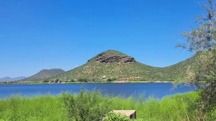 ¿Dique 10 podría convertirse en reserva ecológica? Esta propuesta hacen los ejidatarios ¿Dique 10 podría convertirse en reserva ecológica? Esta propuesta hacen los ejidatarios