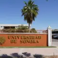 Carrera rumbo a la rectoría en la UNISON: Búhos de Cajeme participan en proceso de votación