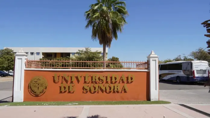 Carrera rumbo a la Rectoría en la Unison: Búhos de Cajeme participan en proceso de votación Carrera rumbo a la Rectoría en la Unison: Búhos de Cajeme participan en proceso de votación