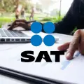 SAT: ¿Cuánto tarda en devolver el saldo a favor tras hacer la Declaración Anual?