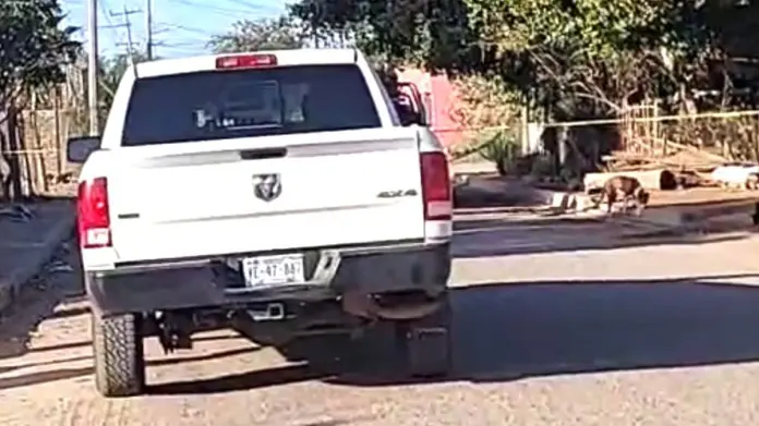 Asesinan a un hombre a balazos en el municipio de Cajeme Asesinan a un hombre a balazos en el municipio de Cajeme