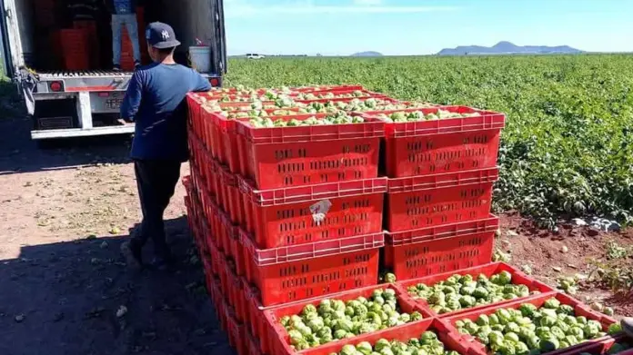 Libran aranceles los horticultores Libran aranceles los horticultores