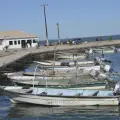 Se agrava crisis de pescadores del sur de Sonora
