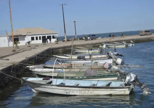 Se agrava crisis de pescadores del sur de Sonora