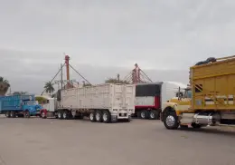 Listos transportistas para la zafra triguera