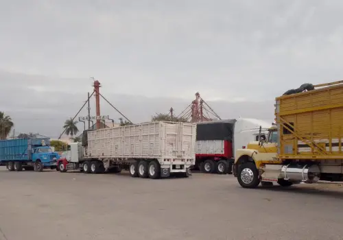 Listos transportistas para la zafra triguera