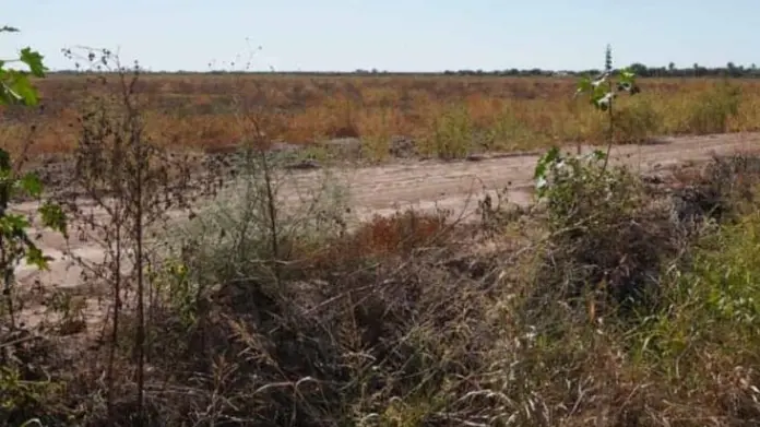 Aumenta la desesperación en ejidos del sur de Sonora Aumenta la desesperación en ejidos del sur de Sonora