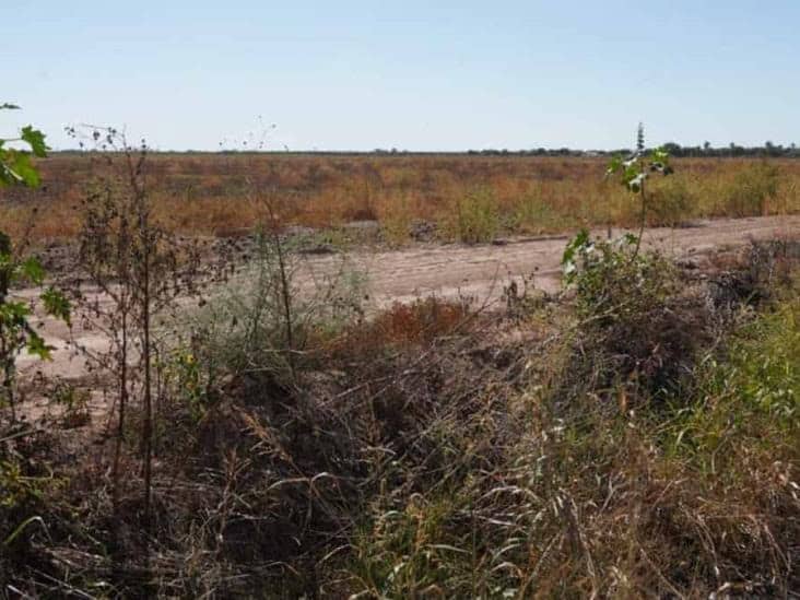 Aumenta la desesperación en ejidos del sur de Sonora