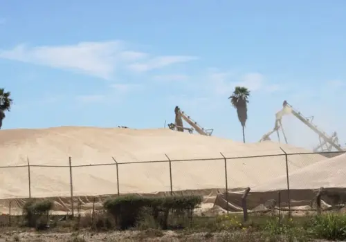Inician trillas de trigo en el Valle del Yaqui