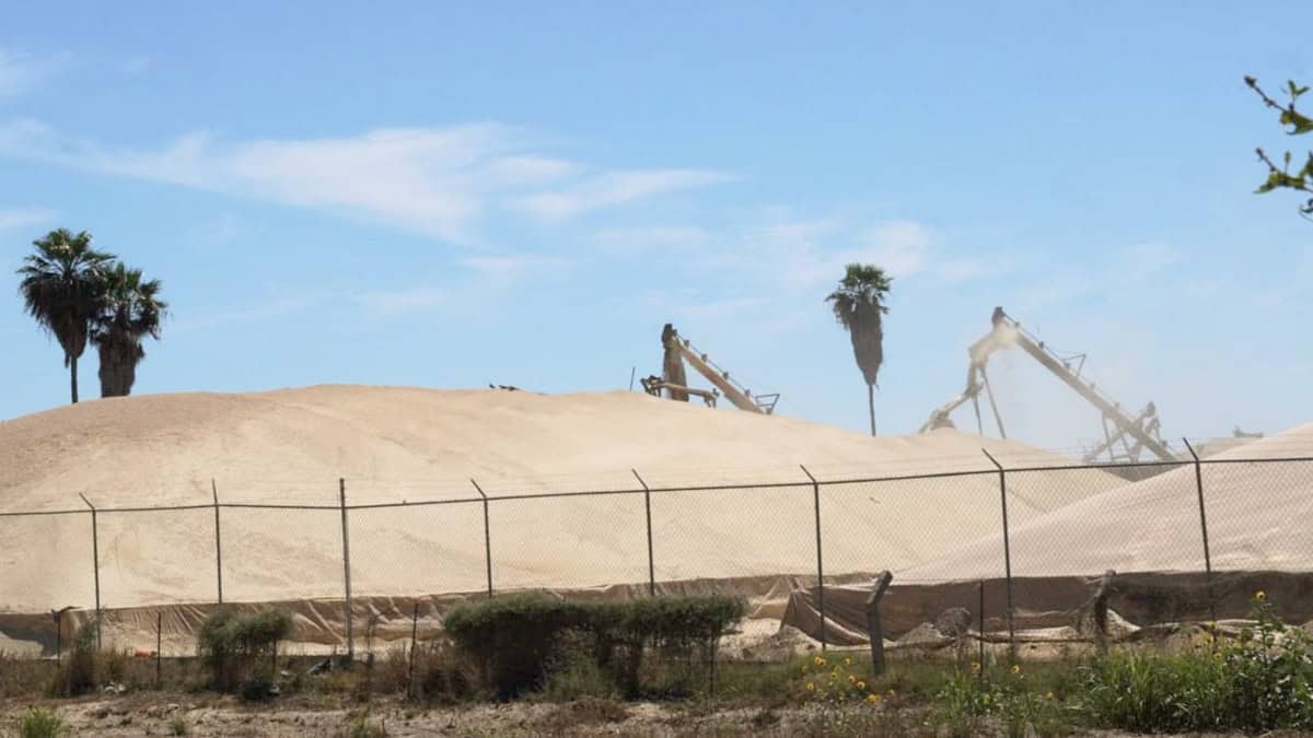 Inician trillas de trigo en el Valle del Yaqui