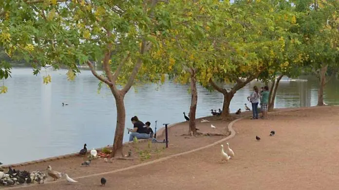 Al 50 por ciento, la Laguna del Náinari Al 50 por ciento, la Laguna del Náinari
