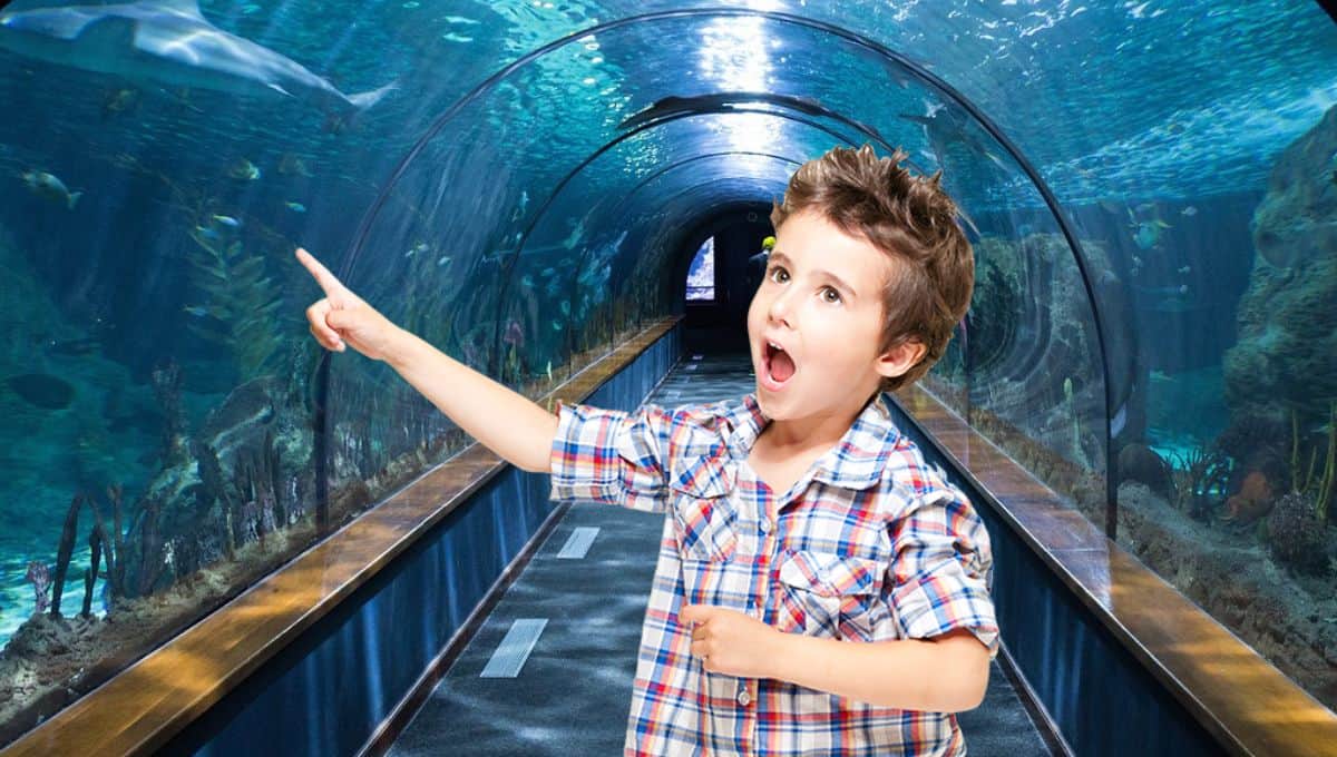 Estos son los zoológicos y acuarios que tendrán eventos especiales por el Día del Niño 2025 en México