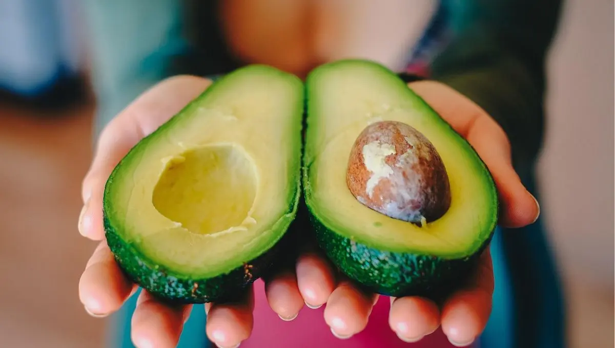 Así debes guardar tu palta. / Pixabay