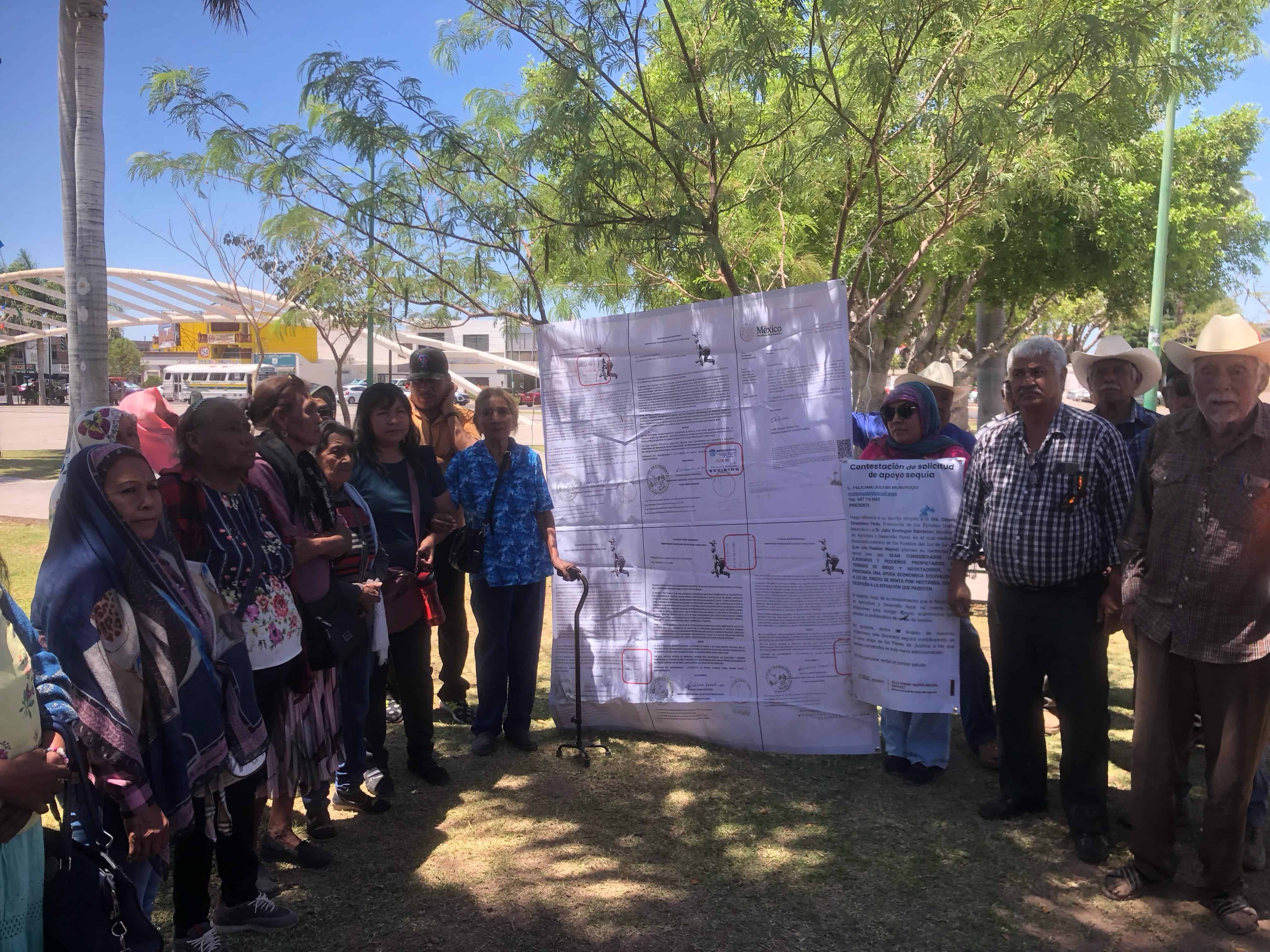 Integrantes de la Etnia Mayo piden apoyo al Gobierno Federal ante la sequía