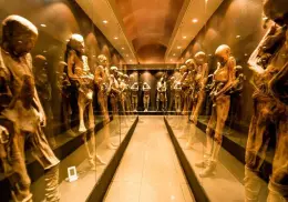 VIDEOS | 5 museos que no sabías que existían en México y que probablemente deberías conocer