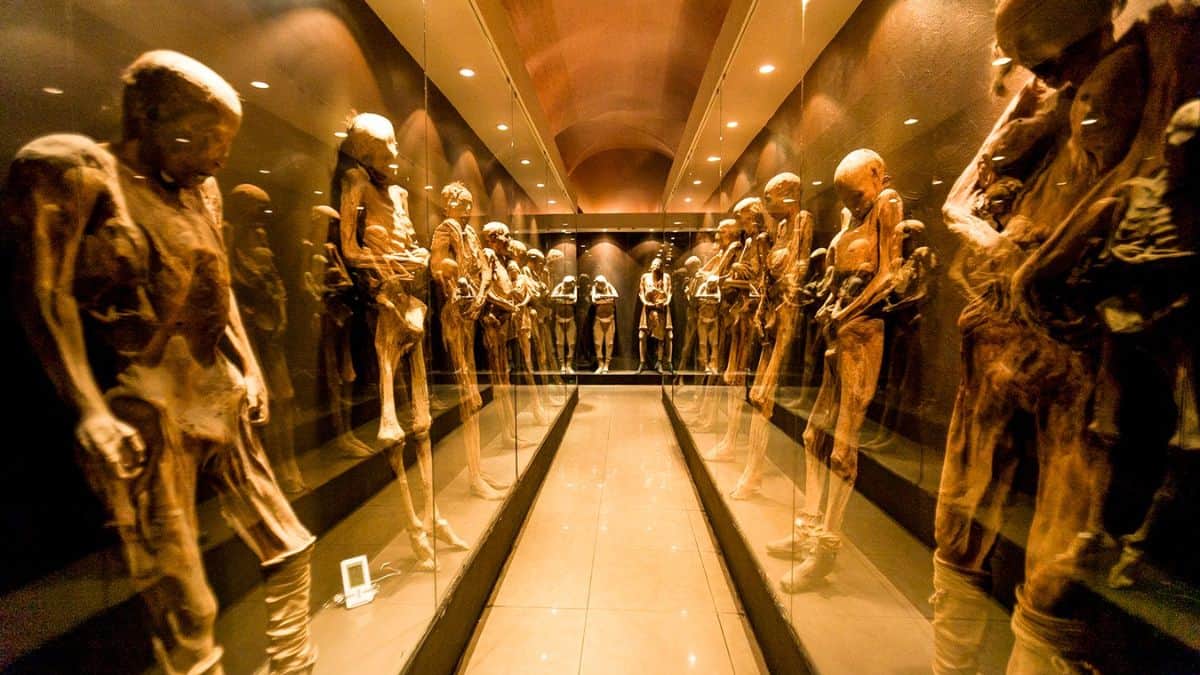VIDEOS | 5 museos que no sabías que existían en México y que probablemente deberías conocer
