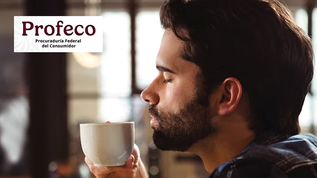 ¿Amas el café? Profeco te dice cuál es el mejor para la cafetera: es barato, 100% puro y gourmet