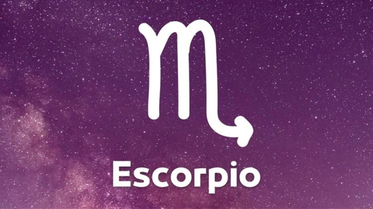 imagen-cuerpo imagen-cuerpo