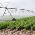 Impulsan el uso eficiente del agua