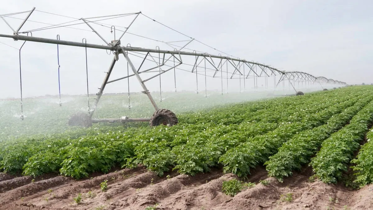 Impulsan el uso eficiente del agua