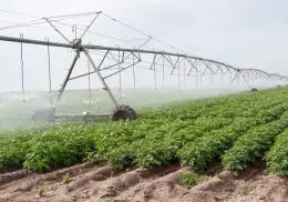 Impulsan el uso eficiente del agua