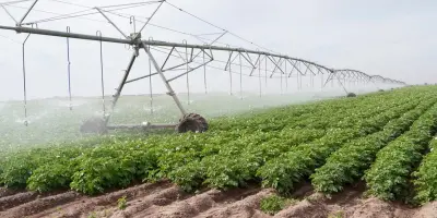 Impulsan el uso eficiente del agua