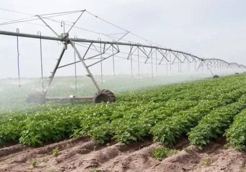 Impulsan el uso eficiente del agua