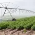 Impulsan el uso eficiente del agua